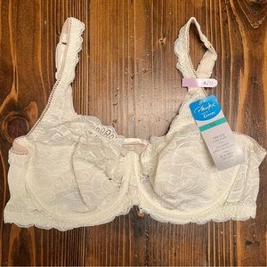 Playtex Love My Curves Bra